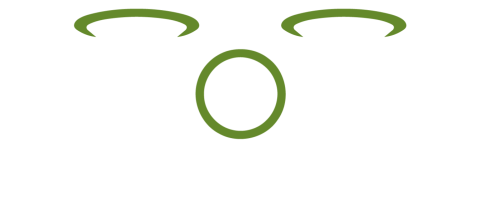 Lifted Media